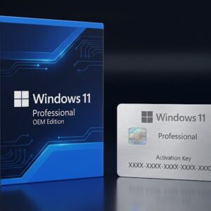 Windows 11 Professional OEM Key